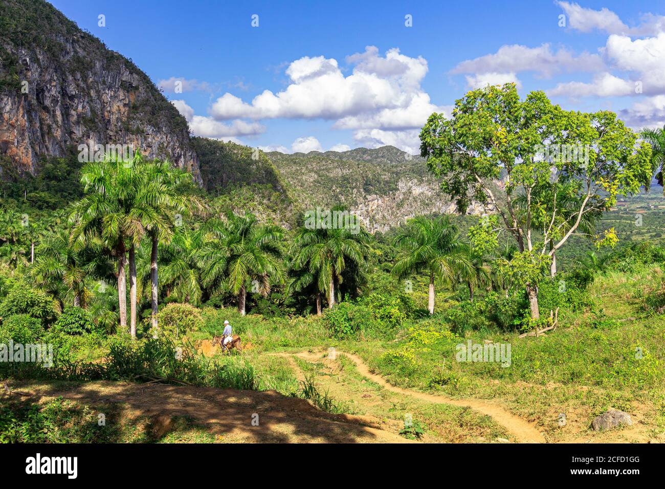 Blick vom Aussichtspunkt 'Los Aquaticos' auf das Vinales-Tal ('Valle de Vinales'), Provinz Pinar del Rio, Kuba Stockfoto