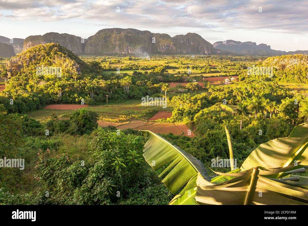 Blick auf das Vinales Tal ('Valle de Vinales') im Abendlicht, Provinz Pinar del Rio, Kuba Stockfoto