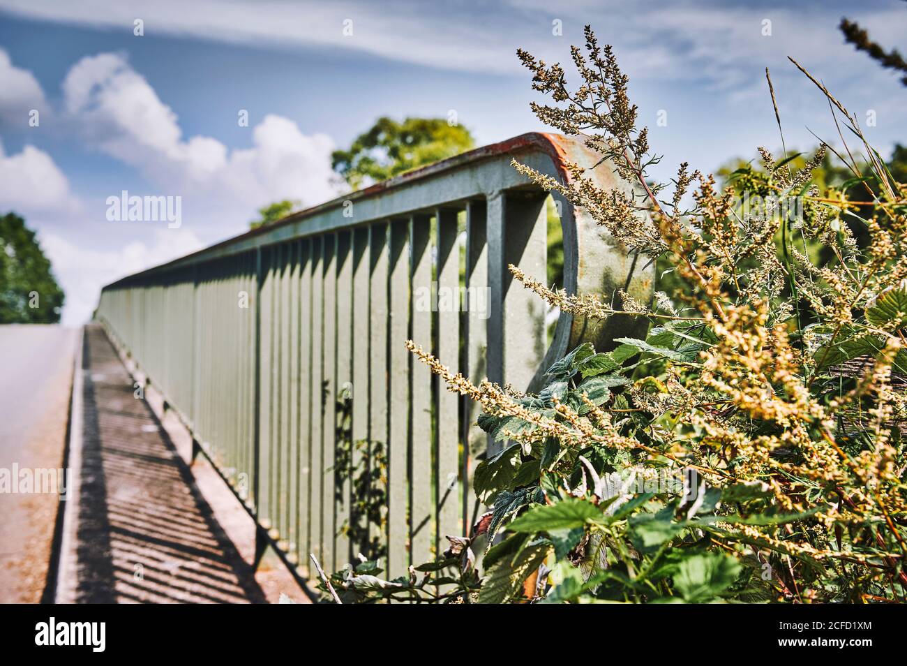 Symbolisches Bild, Metallgeländer einer Brücke geben die Richtung, Unsicherheit, gerade und organische Strukturen Stockfoto