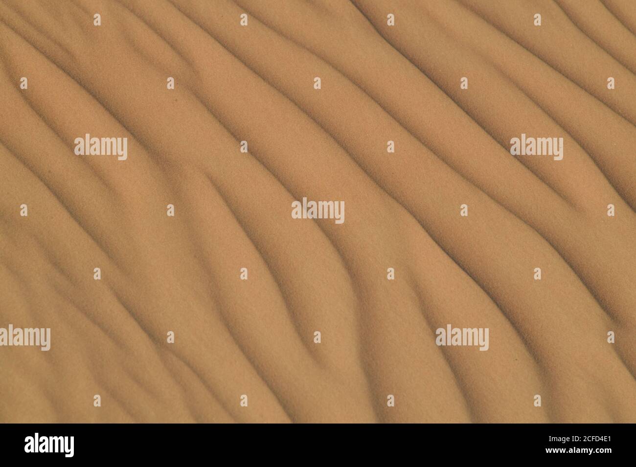 Arabische Halbinsel Wüste Sanddünen, die in verschiedenen Formen und Größen von den wechselnden Winden der Wüste Umwelt Landschaften konturiert. Stockfoto