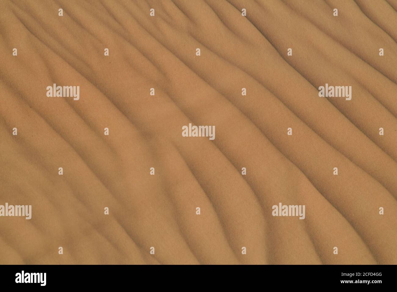 Arabische Halbinsel Wüste Sanddünen, die in verschiedenen Formen und Größen von den wechselnden Winden der Wüste Umwelt Landschaften konturiert. Stockfoto