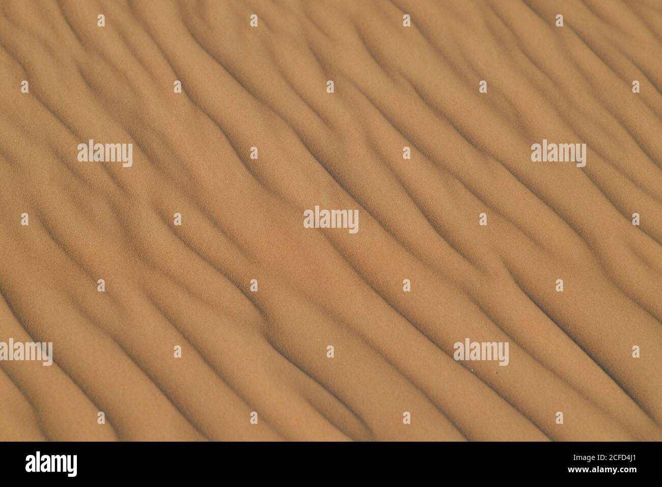 Arabische Halbinsel Wüste Sanddünen, die in verschiedenen Formen und Größen von den wechselnden Winden der Wüste Umwelt Landschaften konturiert. Stockfoto