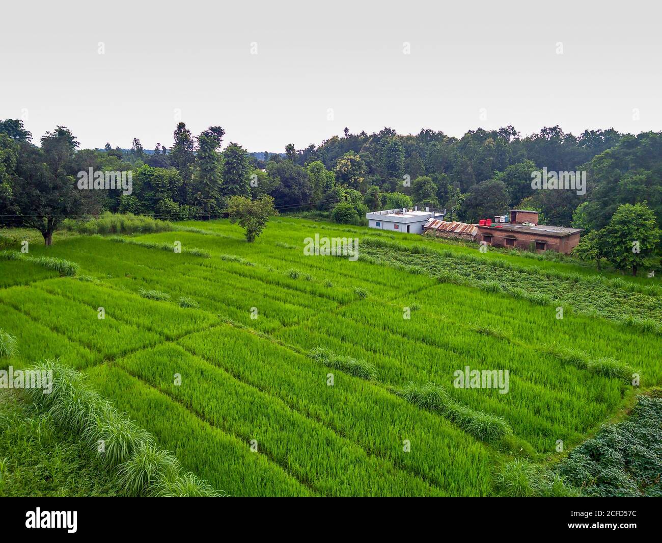 Indien landwirtschaft felder weiten blick -Fotos und -Bildmaterial in