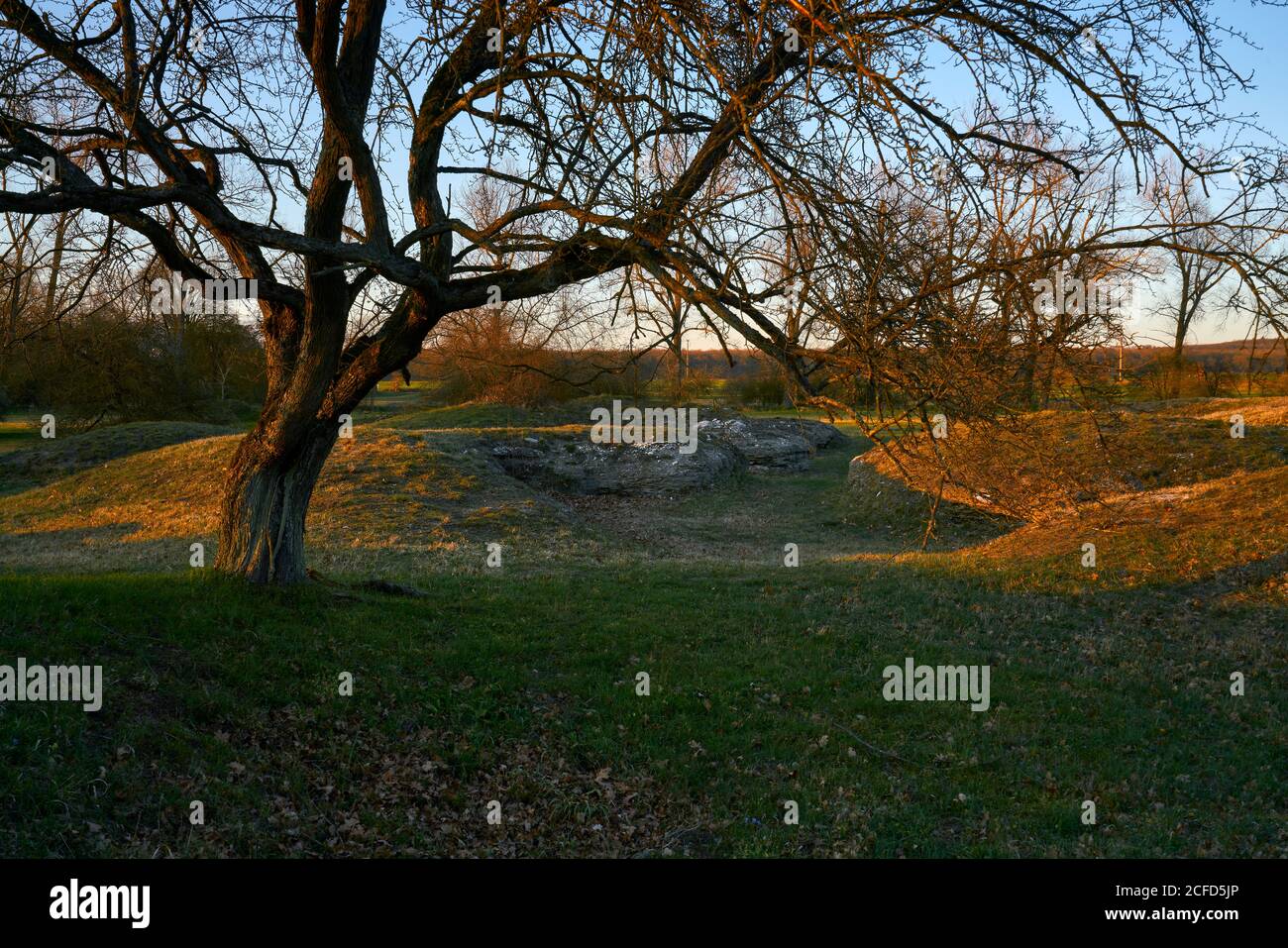 Naturschutzgebiet Sulzheimer Gipshügel, Landkreis Schweinfurt, Unterfranken, Bayern, Deutschland Stockfoto