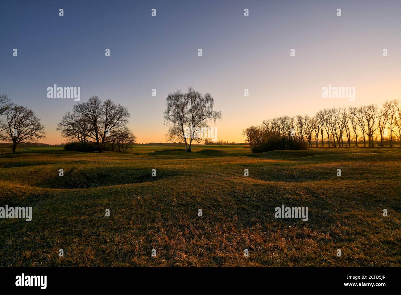 Naturschutzgebiet Sulzheimer Gipshügel, Landkreis Schweinfurt, Unterfranken, Bayern, Deutschland Stockfoto