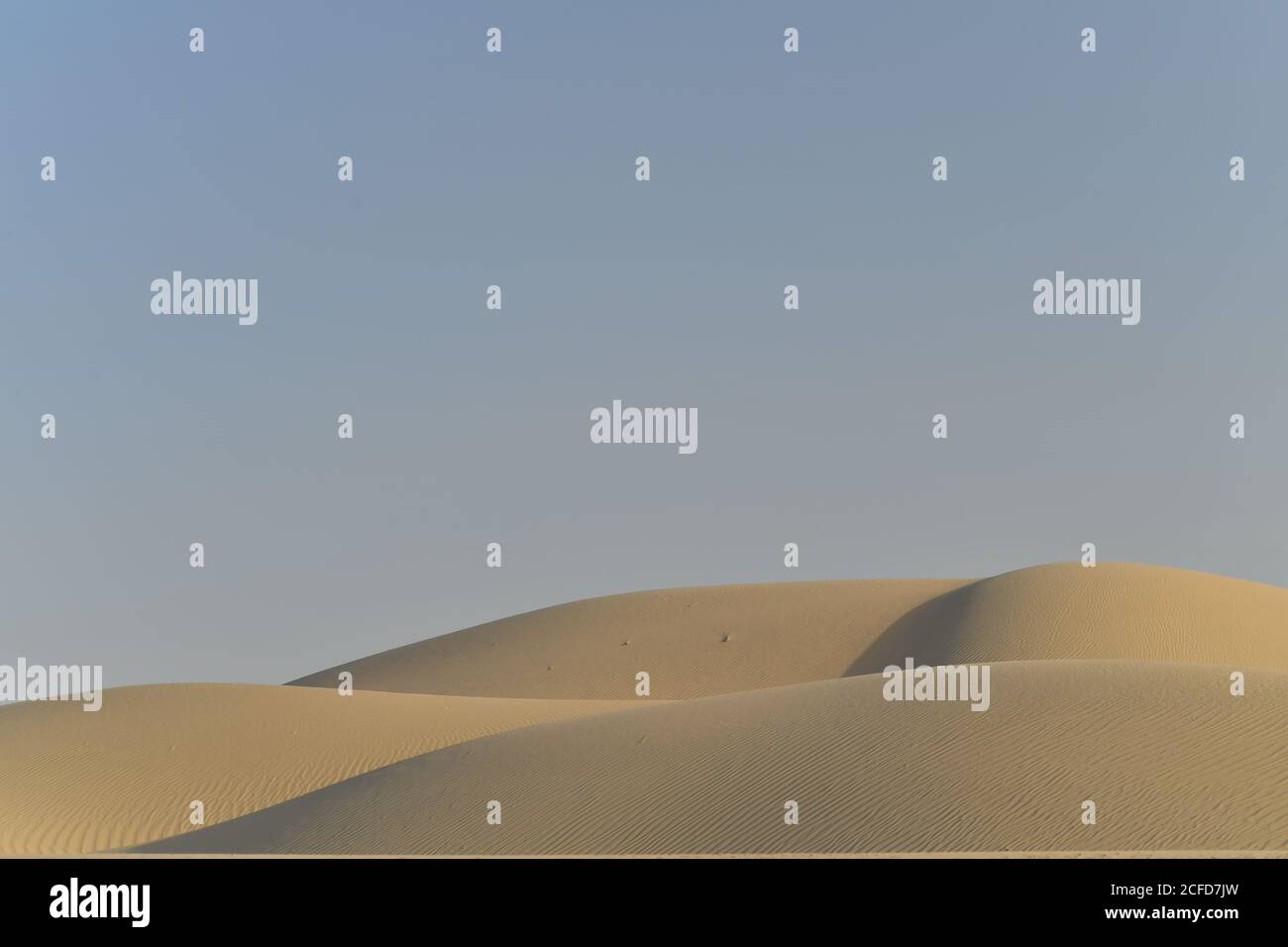 Arabische Halbinsel Wüste Sanddünen, die in verschiedenen Formen und Größen von den wechselnden Winden der Wüste Umwelt Landschaften konturiert. Stockfoto