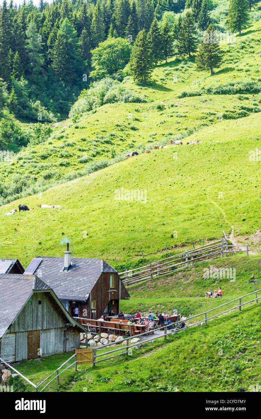 Sankt Barbara im Mürztal, Berg hohe Veitsch (Veitschalpe), Alp Schalleralm in Hochsteiermark, Steiermark, Österreich Stockfoto