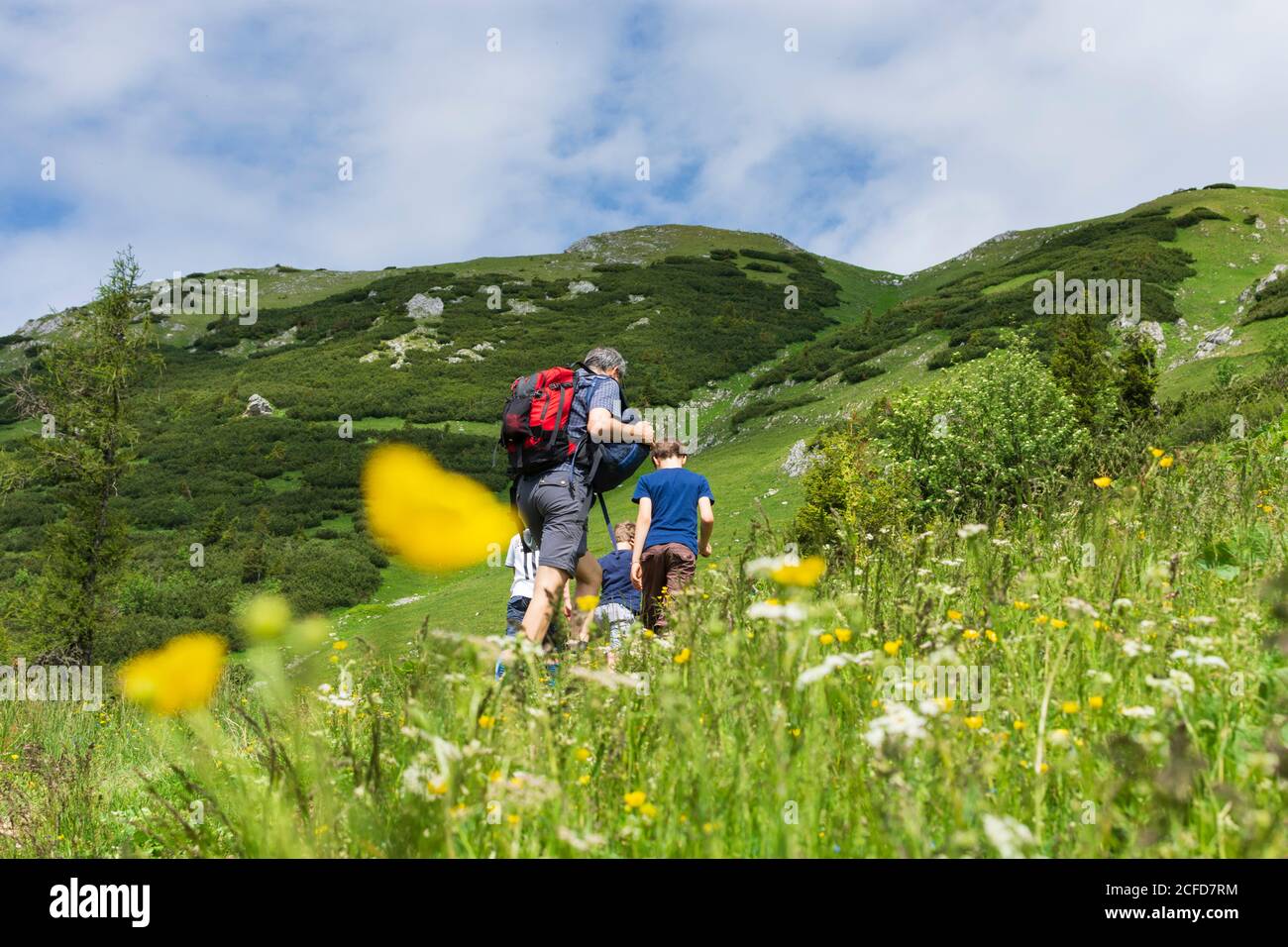 Sankt Barbara im Mürztal, Berg hohe Veitsch (Veitschalpe), Blumen, Wanderer, Bergsteiger in Hochsteiermark, Steiermark, Österreich Stockfoto