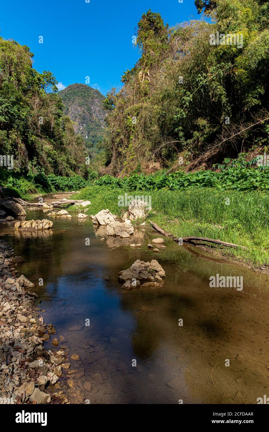 Wanderweg Durch Den Dschungel Am Ratchaprapha See Stockfotos Und Bilder Kaufen Alamy