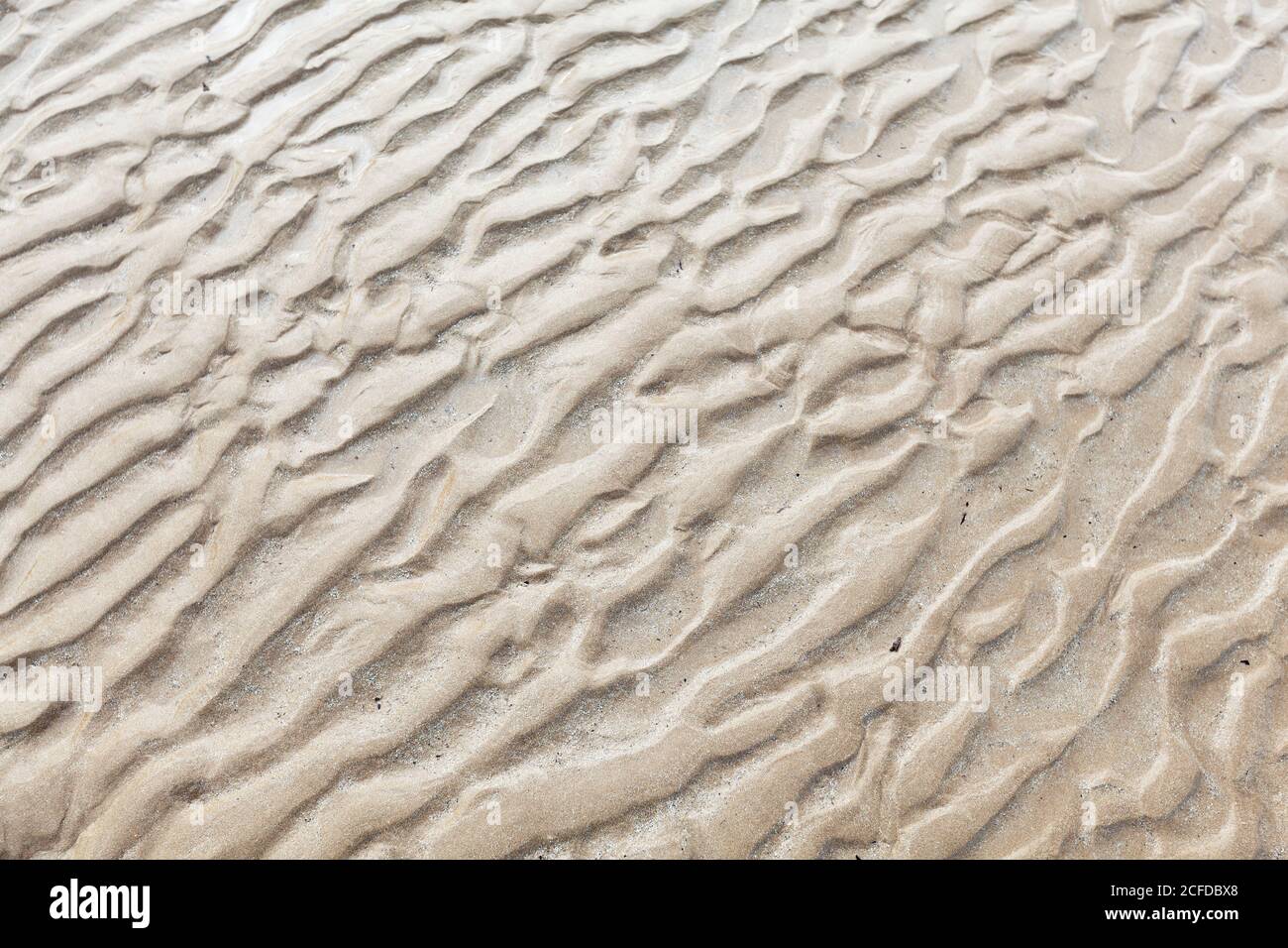 Meeresboden am Strand bei Ebbe - Wasserform Wellenmuster im Sand Stockfoto