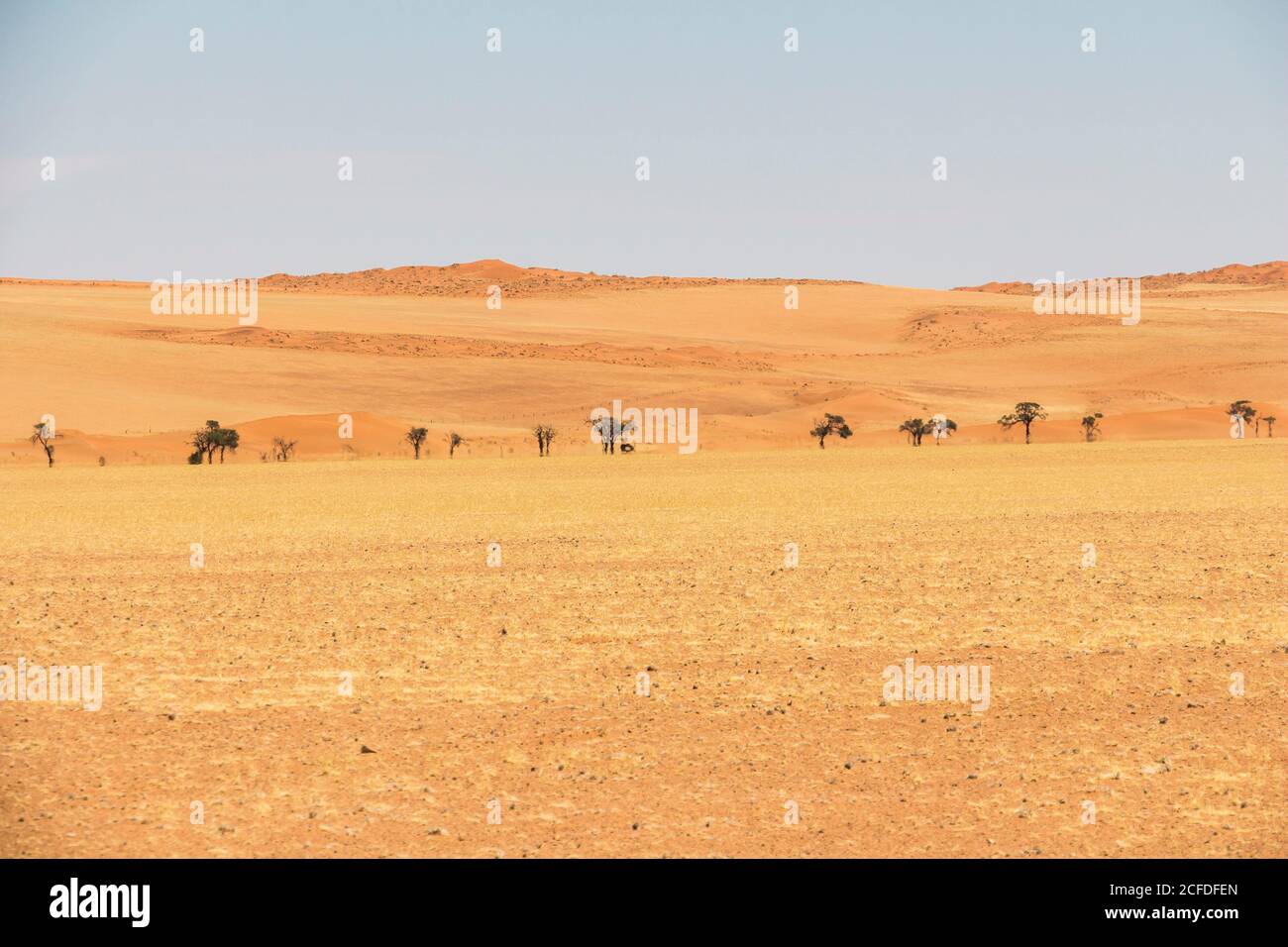 Einsamer Sandweg auf der D707 in der Wüste Namibias auf dem Weg nach Sesriem, Namibia Stockfoto