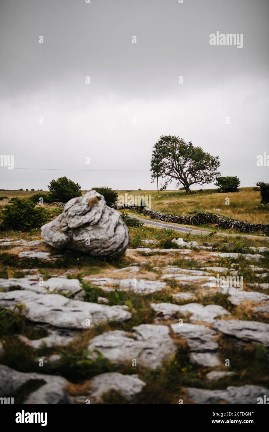 Karstlandschaft rund um den Poulnabrone Dolmen, Burren Irland Stockfoto