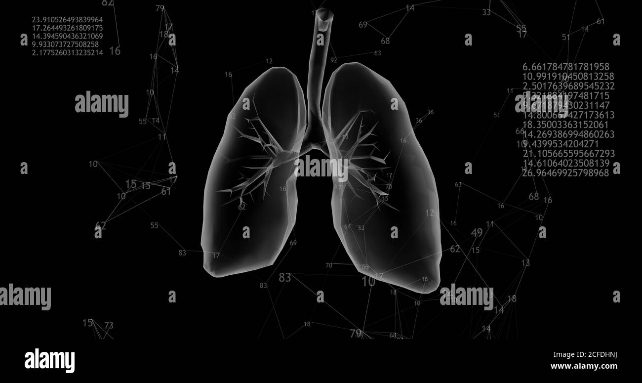 Rotierendes 3D-Modell mit 360 niederpolygonalen Lungen auf schwarzem Hintergrund mit animierten, zunehmenden Zahlen und Diagrammen. 3D-Illustration Stockfoto