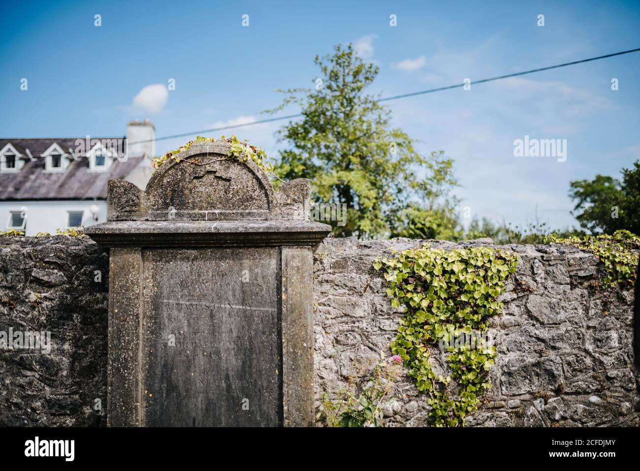 Ivy-bedeckte Wand der Black Abbey in Kilkenny, Irland Stockfoto