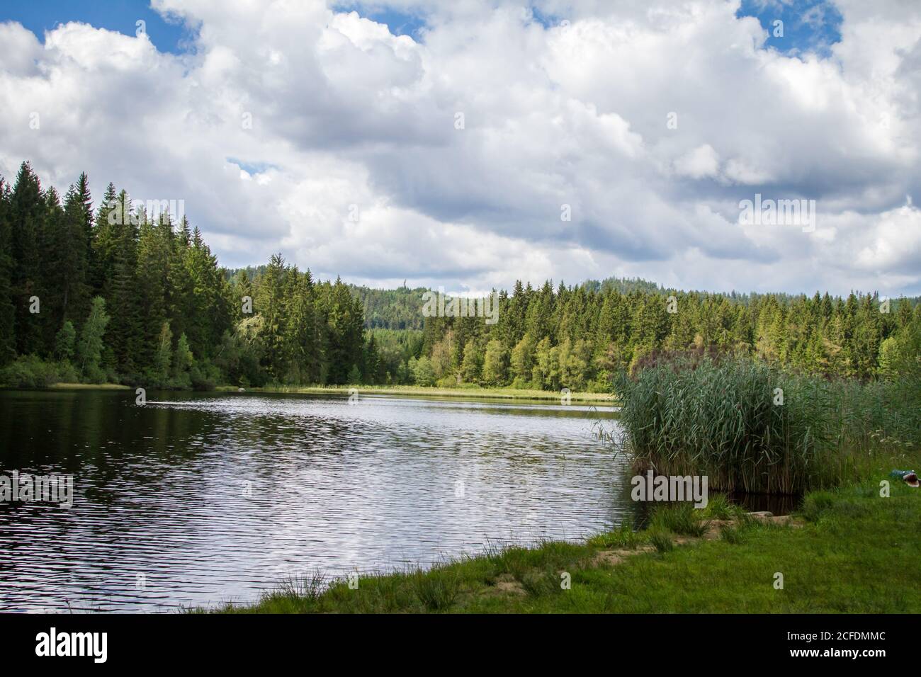 Badesee waldviertel Stockfotos und bilder Kaufen Alamy