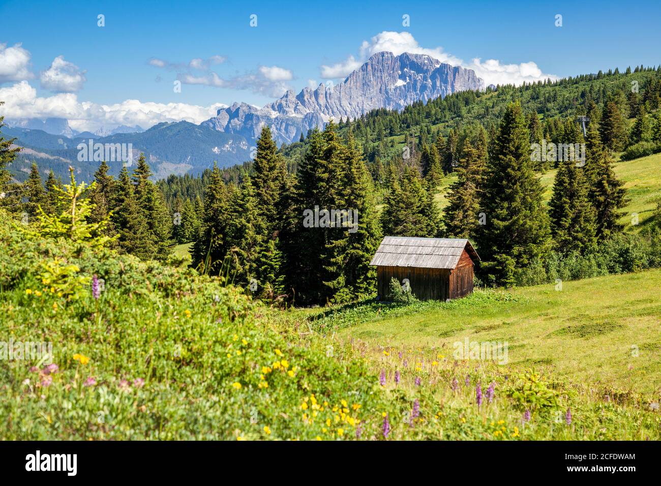 Einsame Hütte in den Wiesen und Wäldern des Monte Cherz, im Hintergrund die Civetta Nordwestwand, Livinallongo del Col di Lana, Belluno, Stockfoto