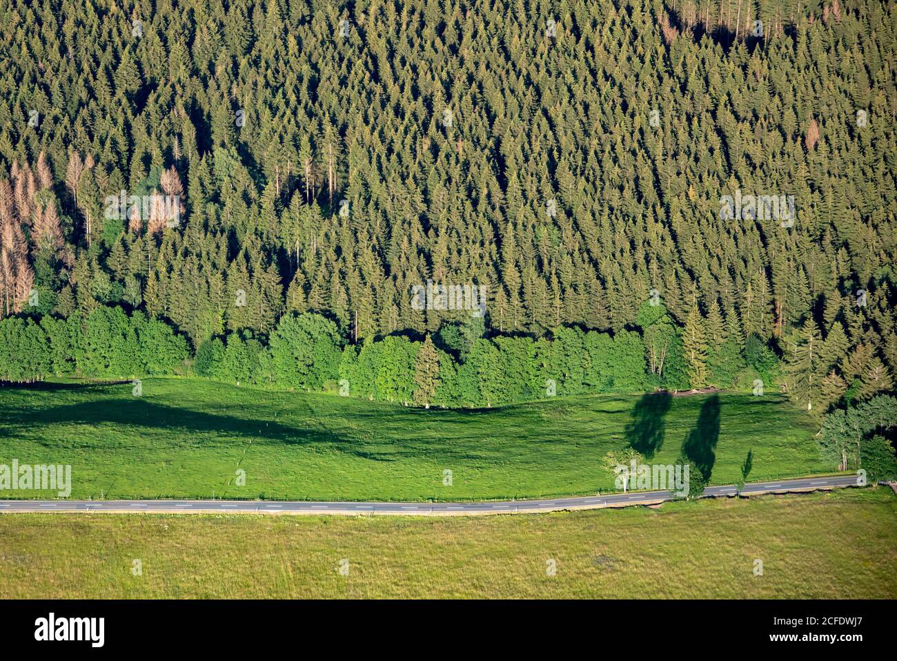 Landstraße durch den Harz Stockfoto