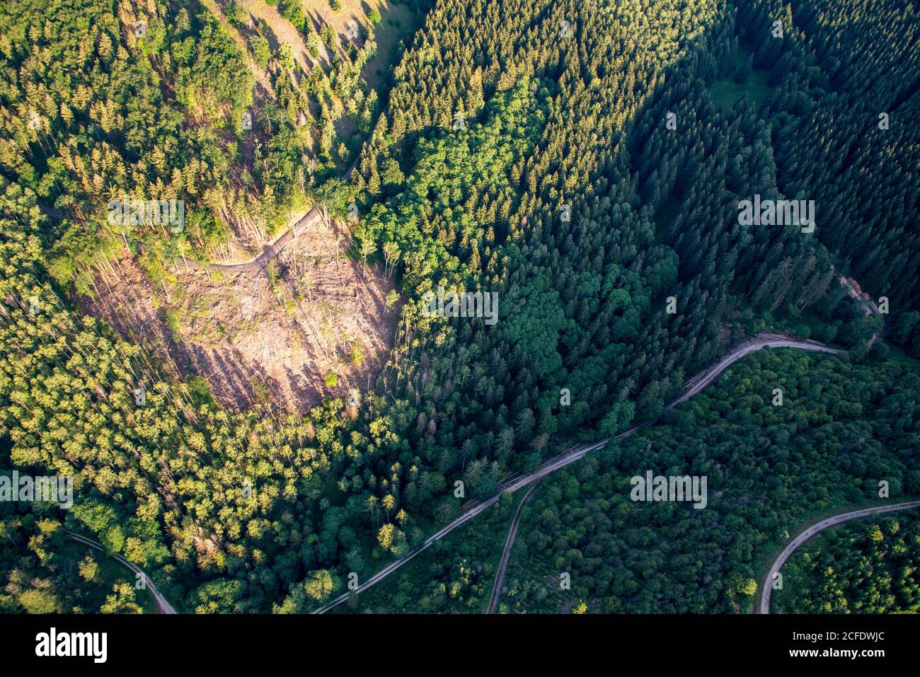 Wege durch den Harz Stockfoto