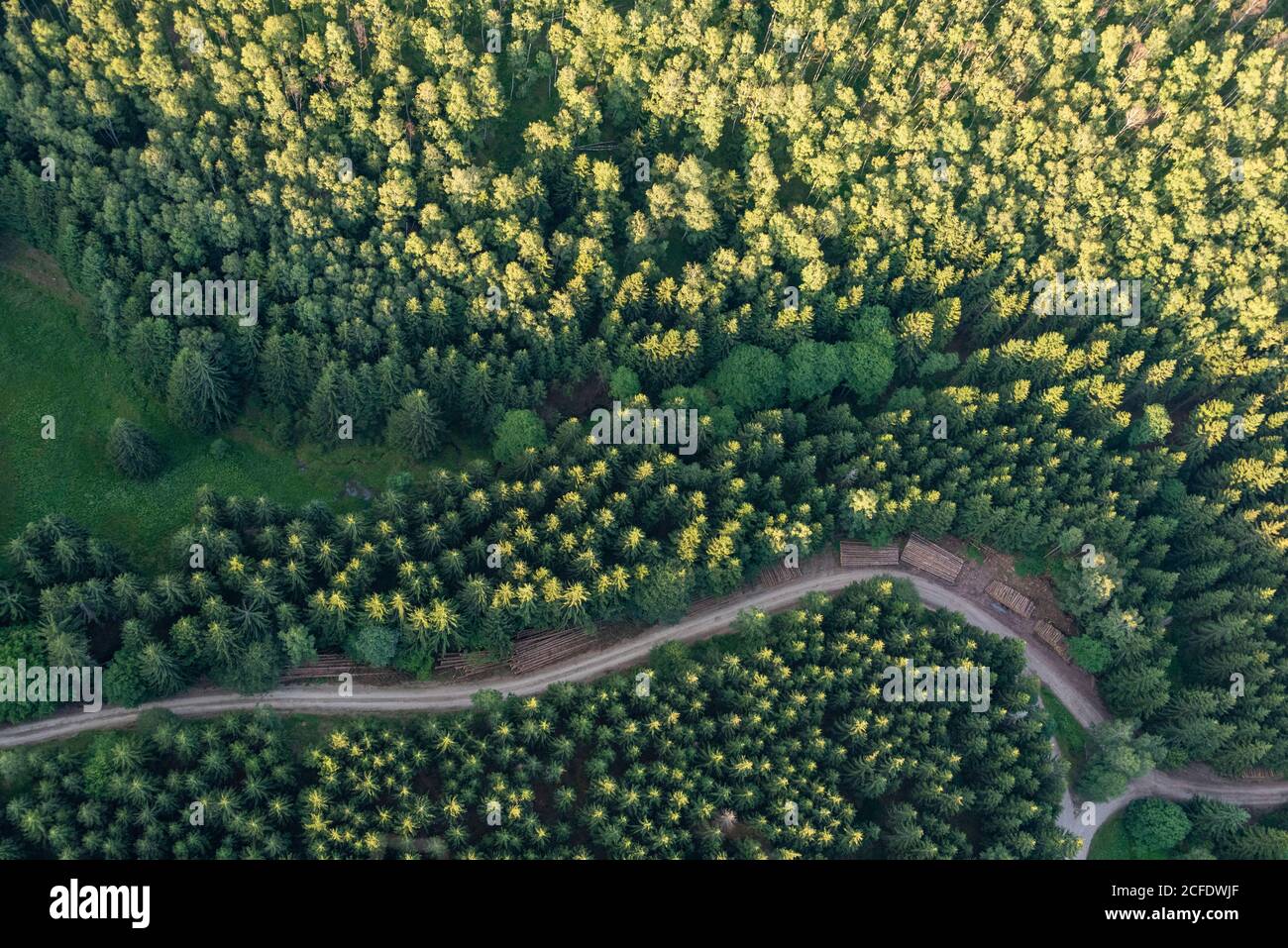 Wege durch den Harz Stockfoto