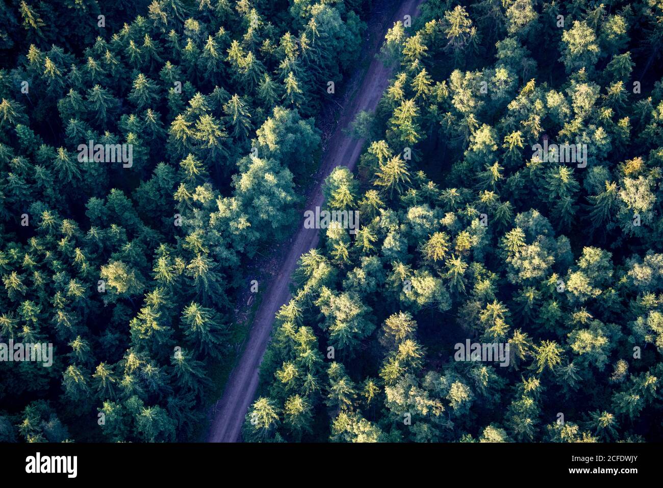 Wege durch den Harz Stockfoto