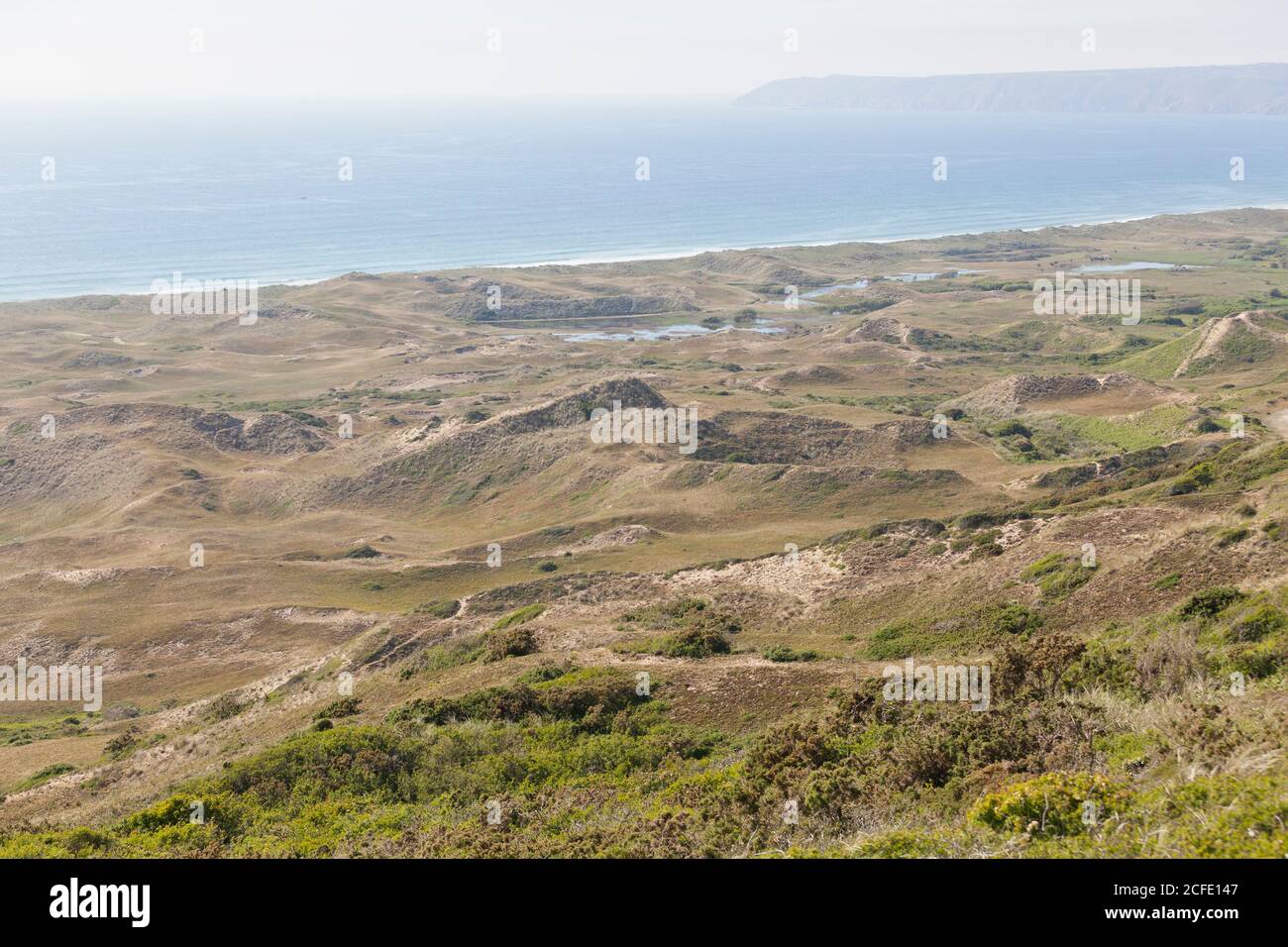 Blick auf die Dünenlandschaft von Biville auf der Halbinsel Cotentin. Normandie Stockfoto