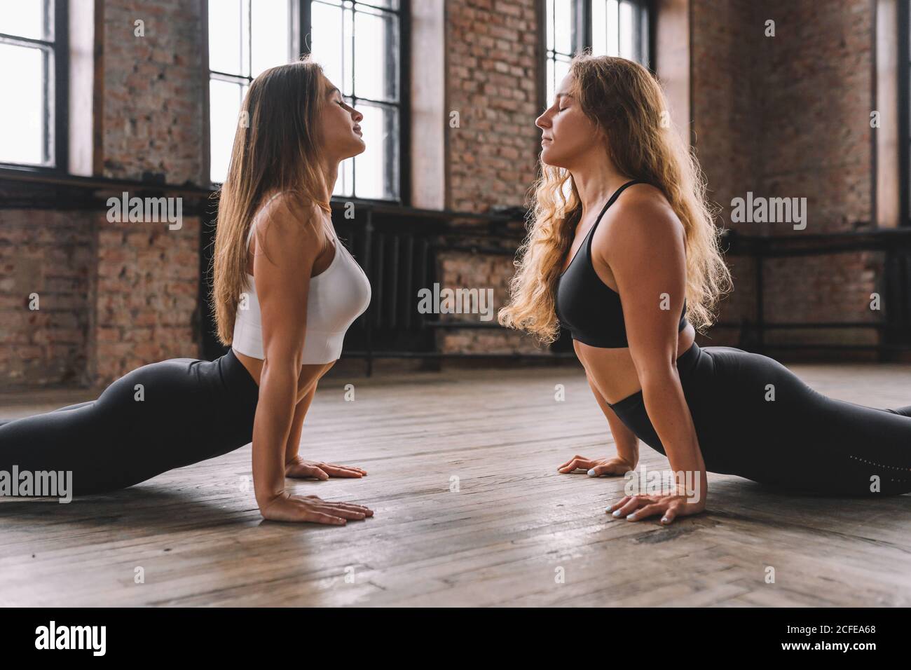 Zwei junge Frauen machen komplexe Dehnung Yoga Asanas in Loft-Stil Klasse von Angesicht zu Angesicht. Urdhva Mukha Svanasana - Nach Oben Gerichtete Hundehaltung. Stockfoto