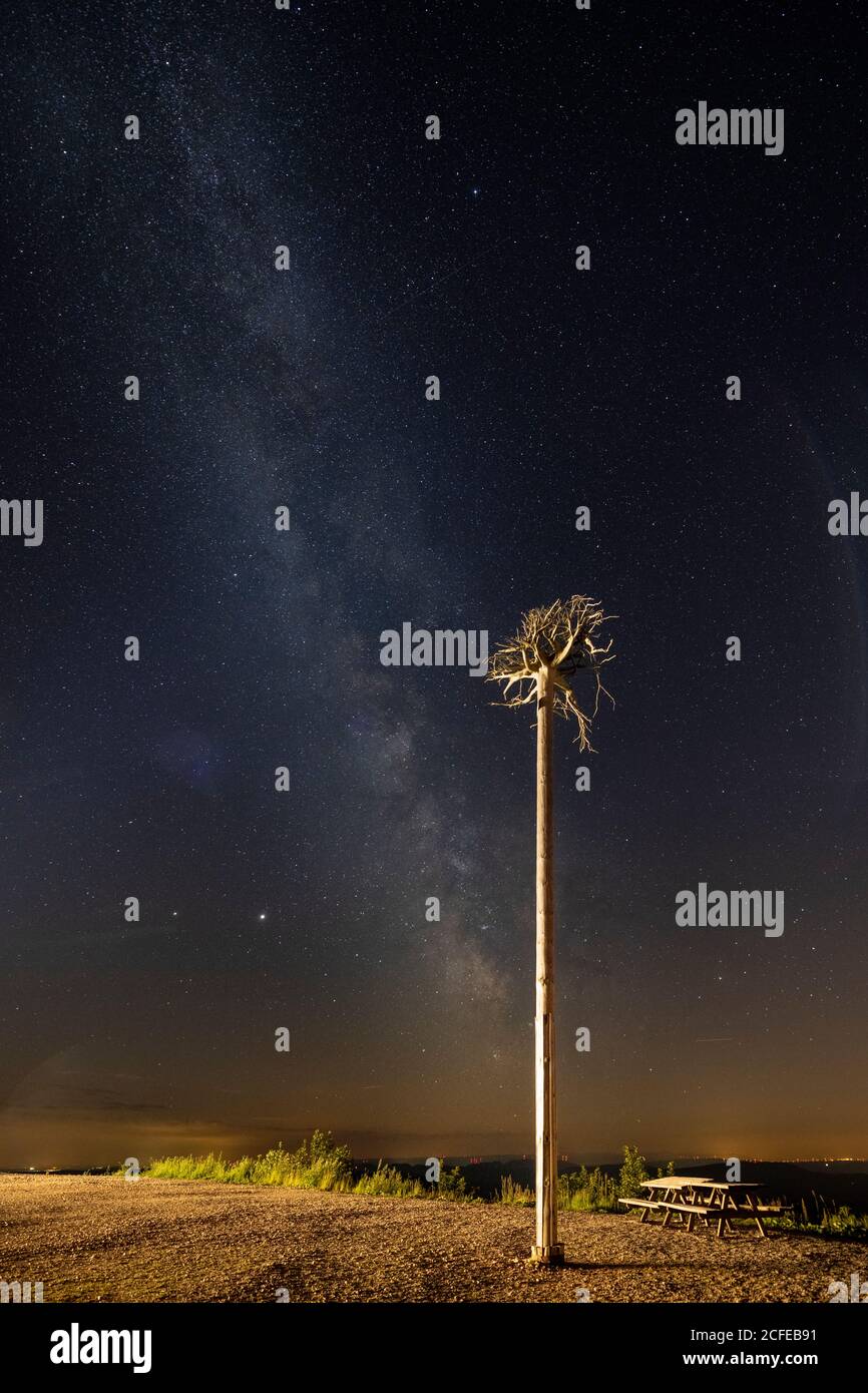 Deutschland, Baden-Württemberg, Schwarzwald, Hornisgrinde, die Milchstraße über die Hornisgrinde. Der umgedrehte Baum auf der Hornisgrinde soll das Stockfoto