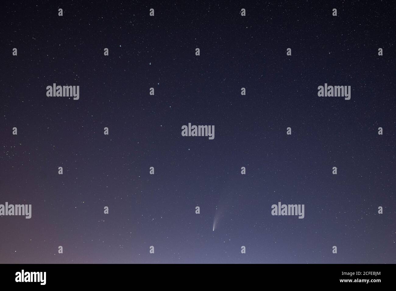Deutschland, Baden-Württemberg, Schwarzwald, Hornisgrinde, C / 2020 F3 (NEOWISE) ein Komet, der im Sommer 2020 beobachtet wurde. Stockfoto