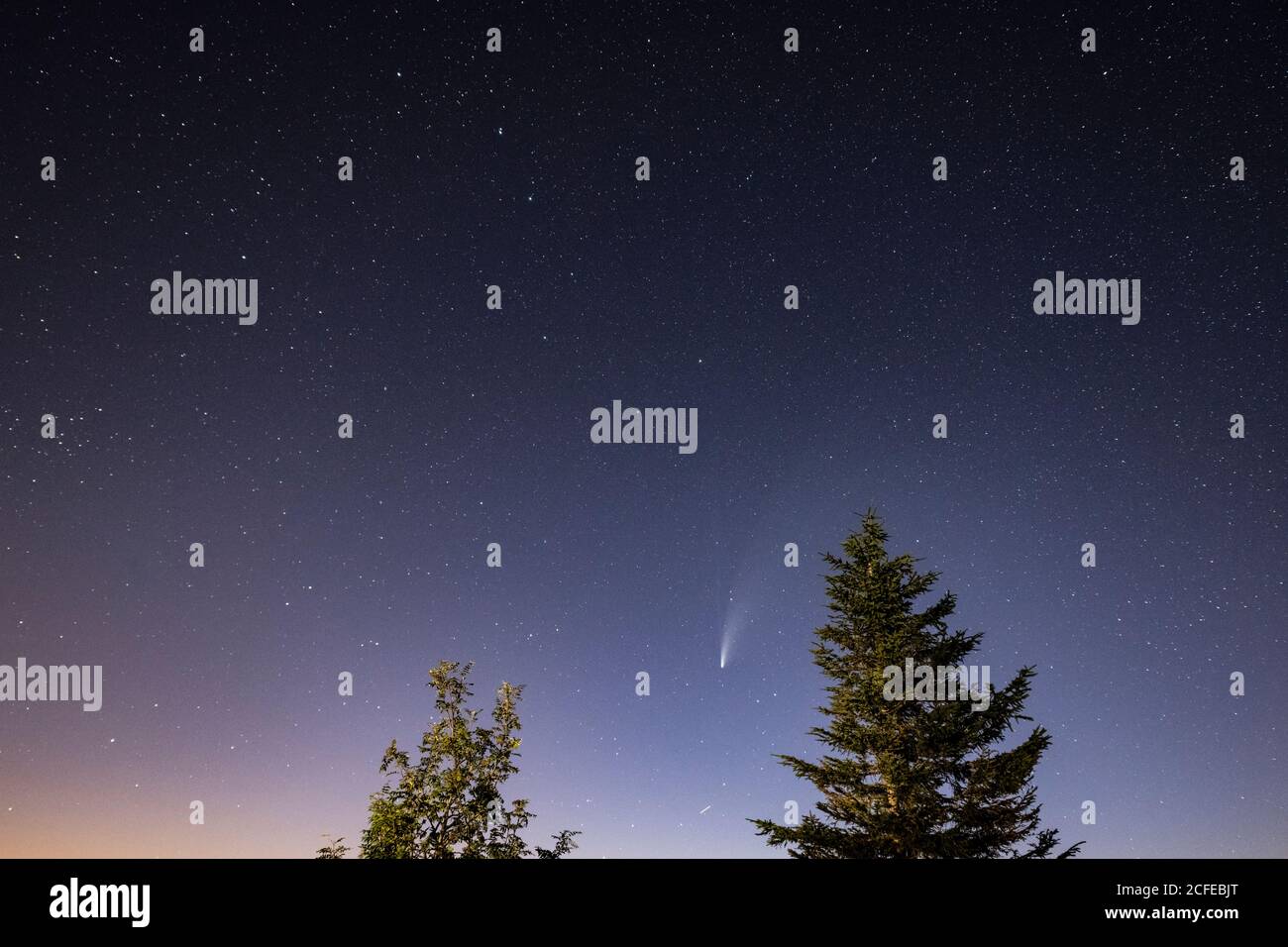 Deutschland, Baden-Württemberg, Schwarzwald, Hornisgrinde, C / 2020 F3 (NEOWISE) ein Komet, der im Sommer 2020 beobachtet wurde. Stockfoto