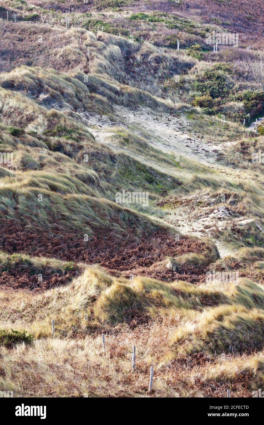 Dünenlandschaft am Cap Frehel in der Bretagne Stockfoto