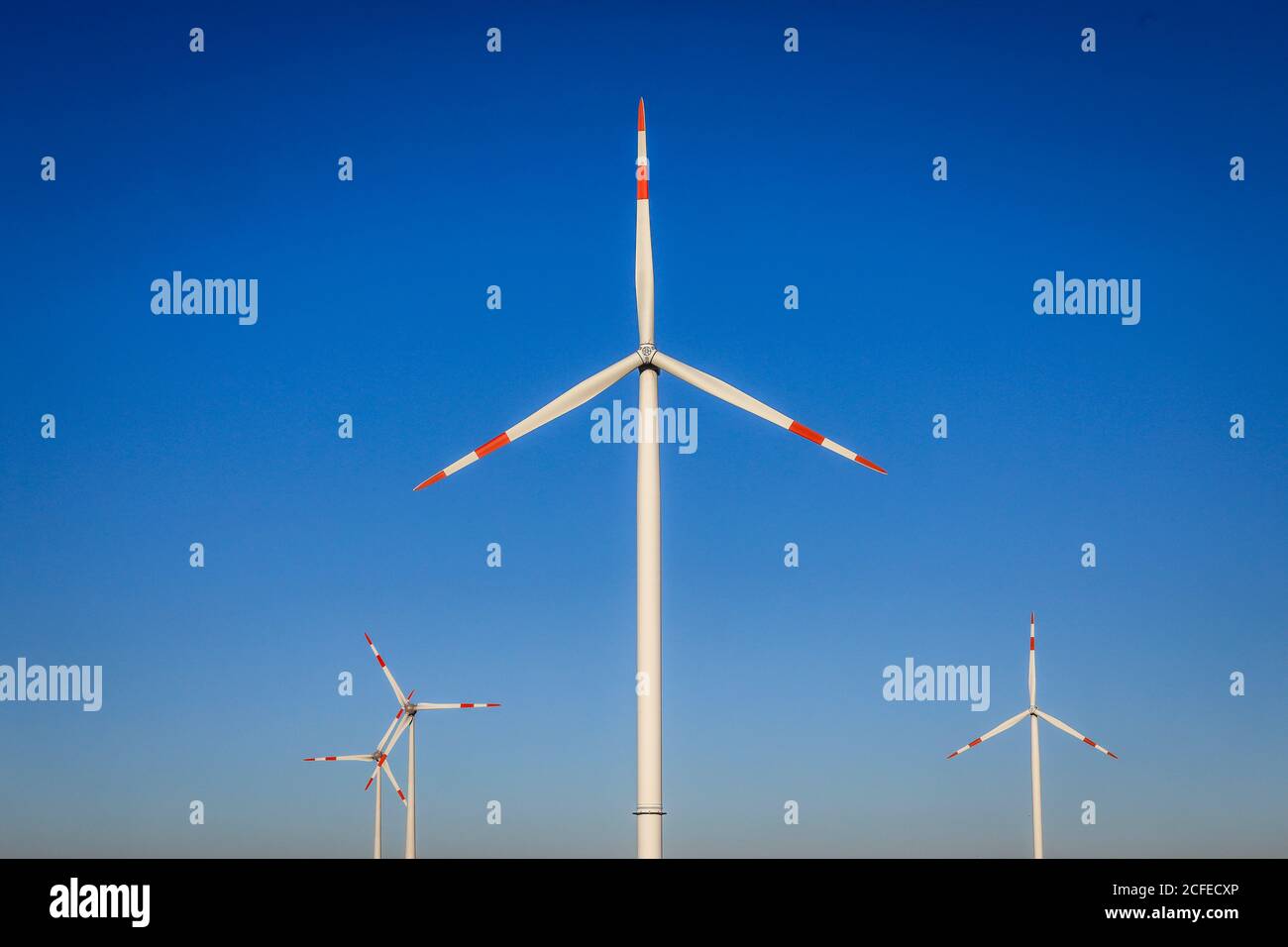 Jüchen, Nordrhein-Westfalen, Deutschland - Wind rollte gegen einen blauen Himmel. Stockfoto