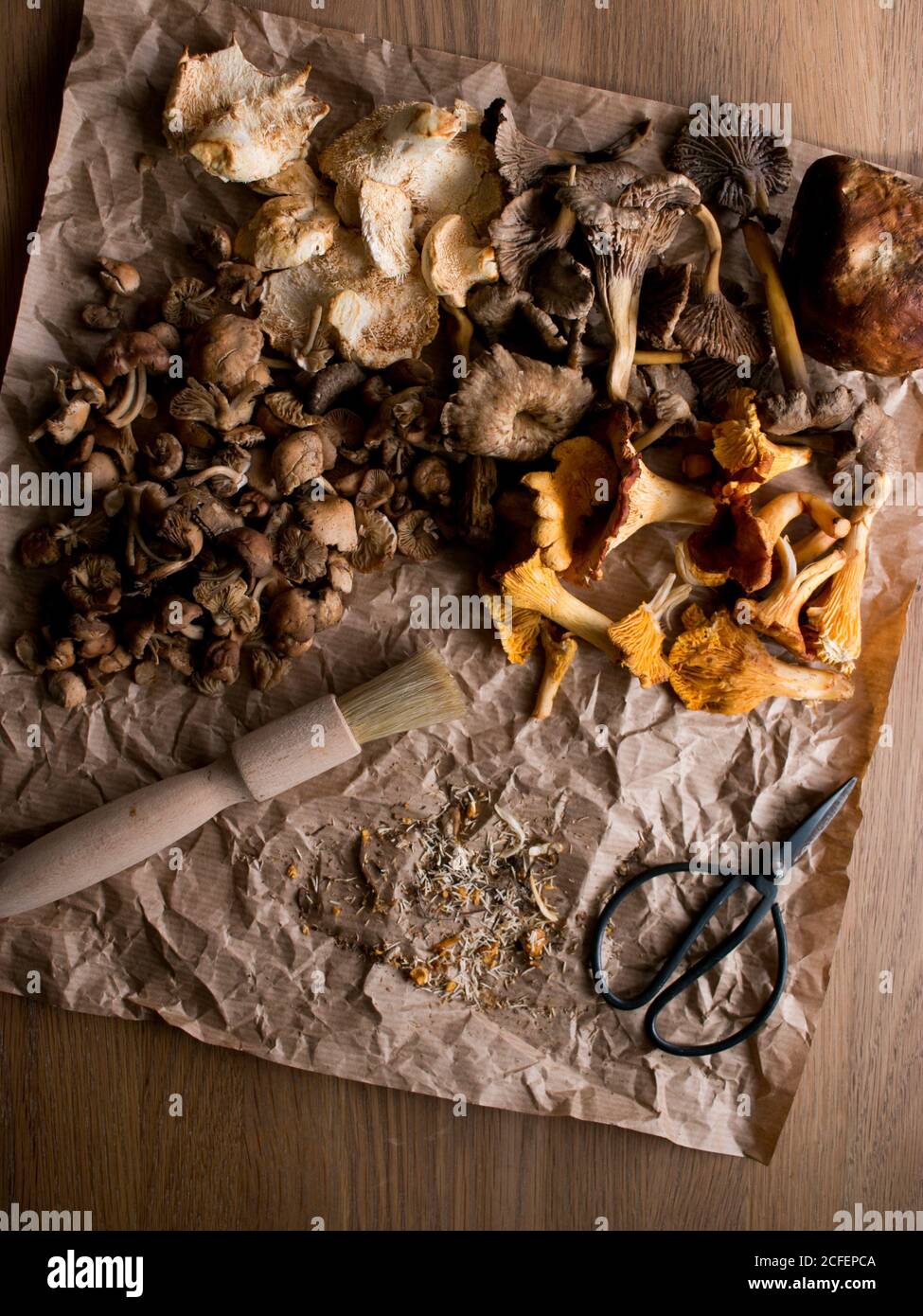 Pinsel und kleine Schere auf faltiges Pergamentpapier in der Nähe platziert Set mit verschiedenen getrockneten Pilzen auf Holztisch Stockfoto