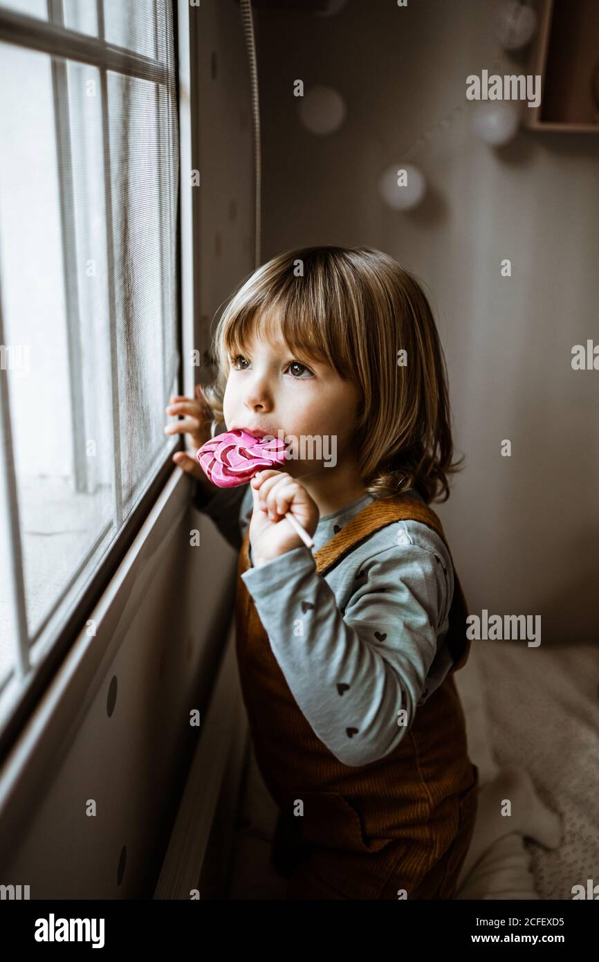 Liebenswert kleines Mädchen in Freizeitkleidung saugen süße Lollipop und Blick aus dem Fenster, während Sie sich in einem gemütlichen Zimmer zu Hause ausruhen Stockfoto