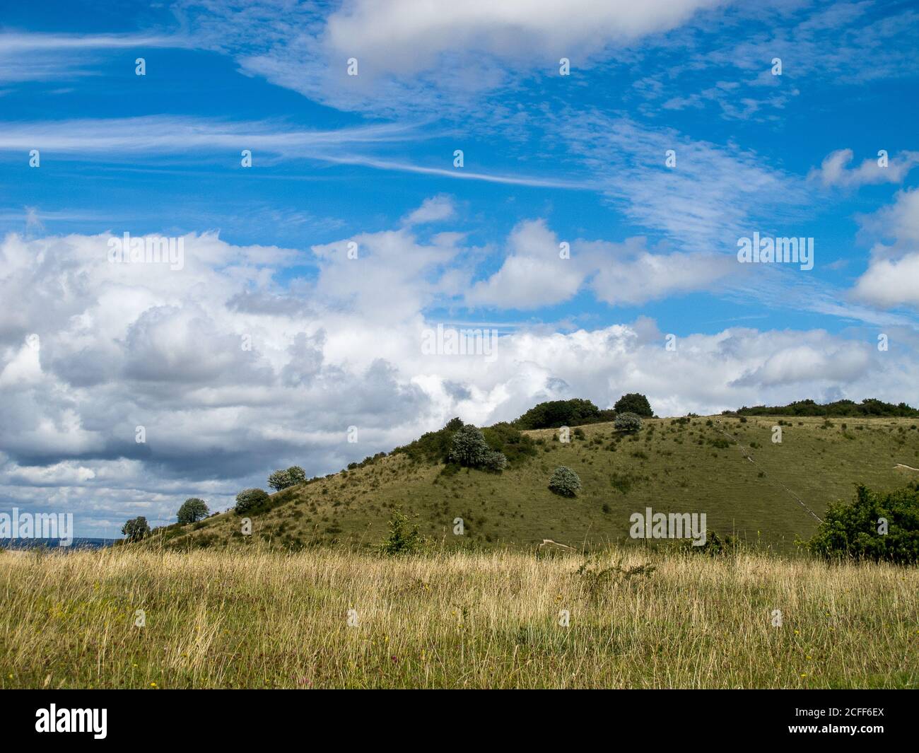 Ashridge Estate Downland in den Chilterns, England, Großbritannien Stockfoto
