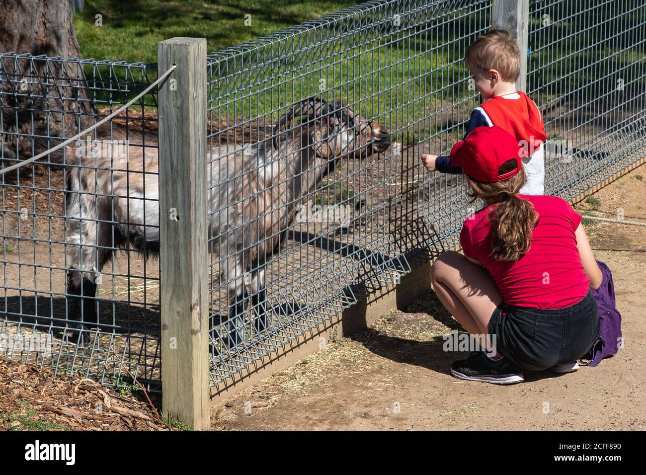 Sydney, Australien. September 2020. Menschen besuchen Symbio Wildlife Park während der COVID-19 Pandemie in Sydney, Australien, am 5. September 2020. Einige Zoos und Wildparks hier haben in Sydney wieder für die Öffentlichkeit geöffnet. Quelle: Zhu Hongye/Xinhua/Alamy Live News Stockfoto