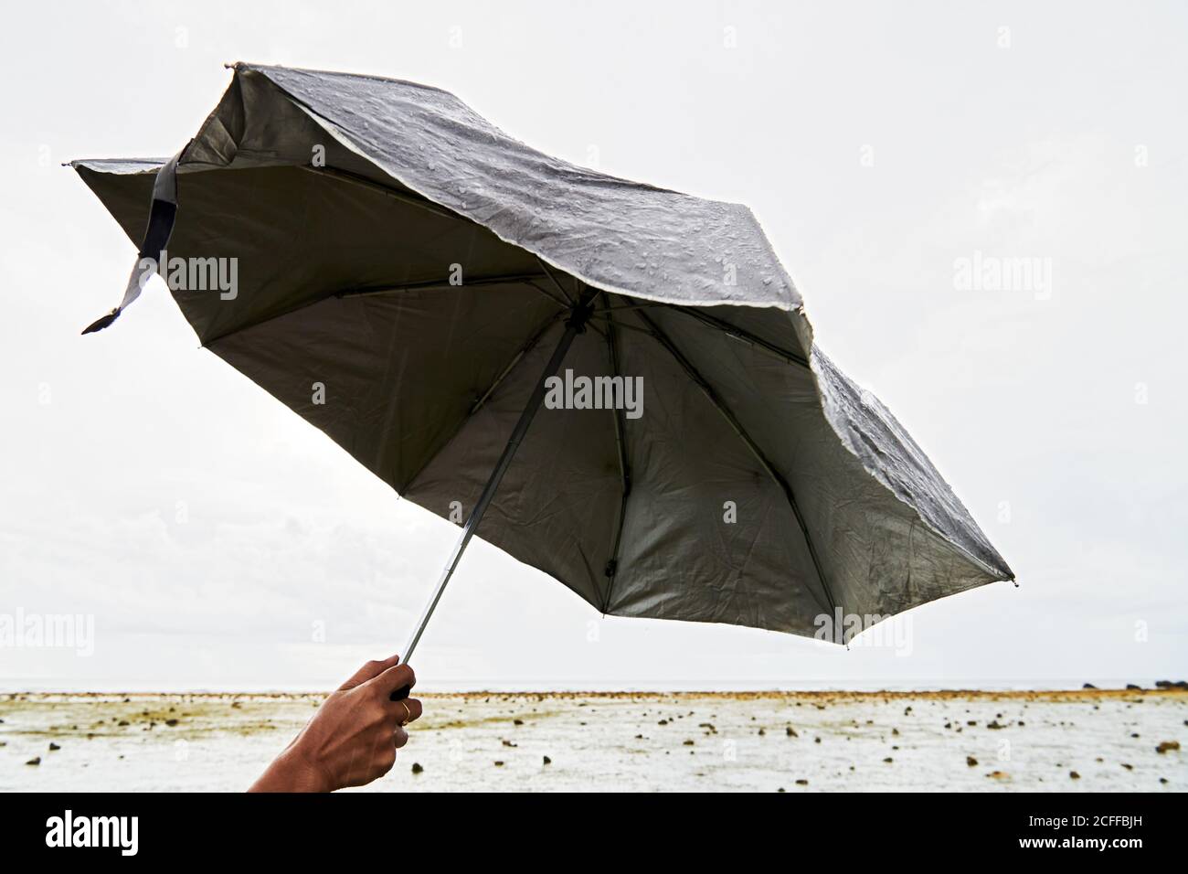 Nahaufnahme einer weiblichen Hand, die einen offenen Klappschirm hält Bei regnerischem Wetter gegen einen weißgrauen Himmel Stockfoto