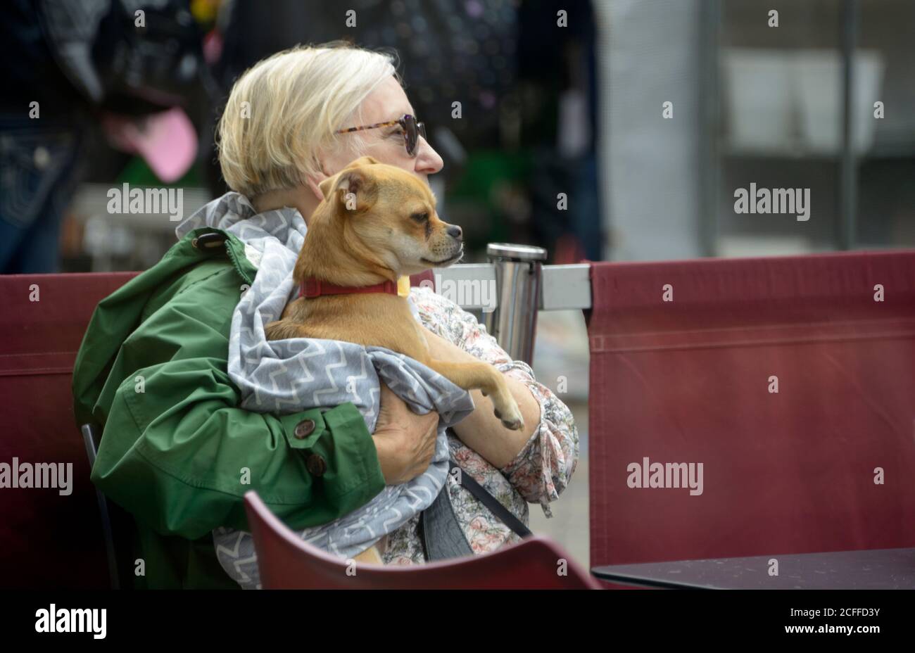 Dame mit Hund, im Sitzbereich im Cafe Stockfoto