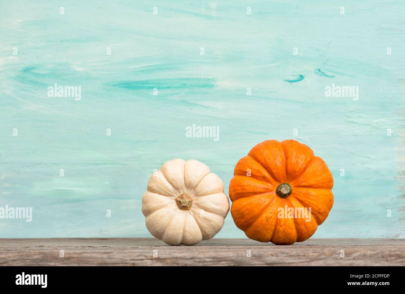 Erntedankfest. Herbst. Halloween. Kürbis Dekoration auf türkisblauem Hintergrund Stockfoto