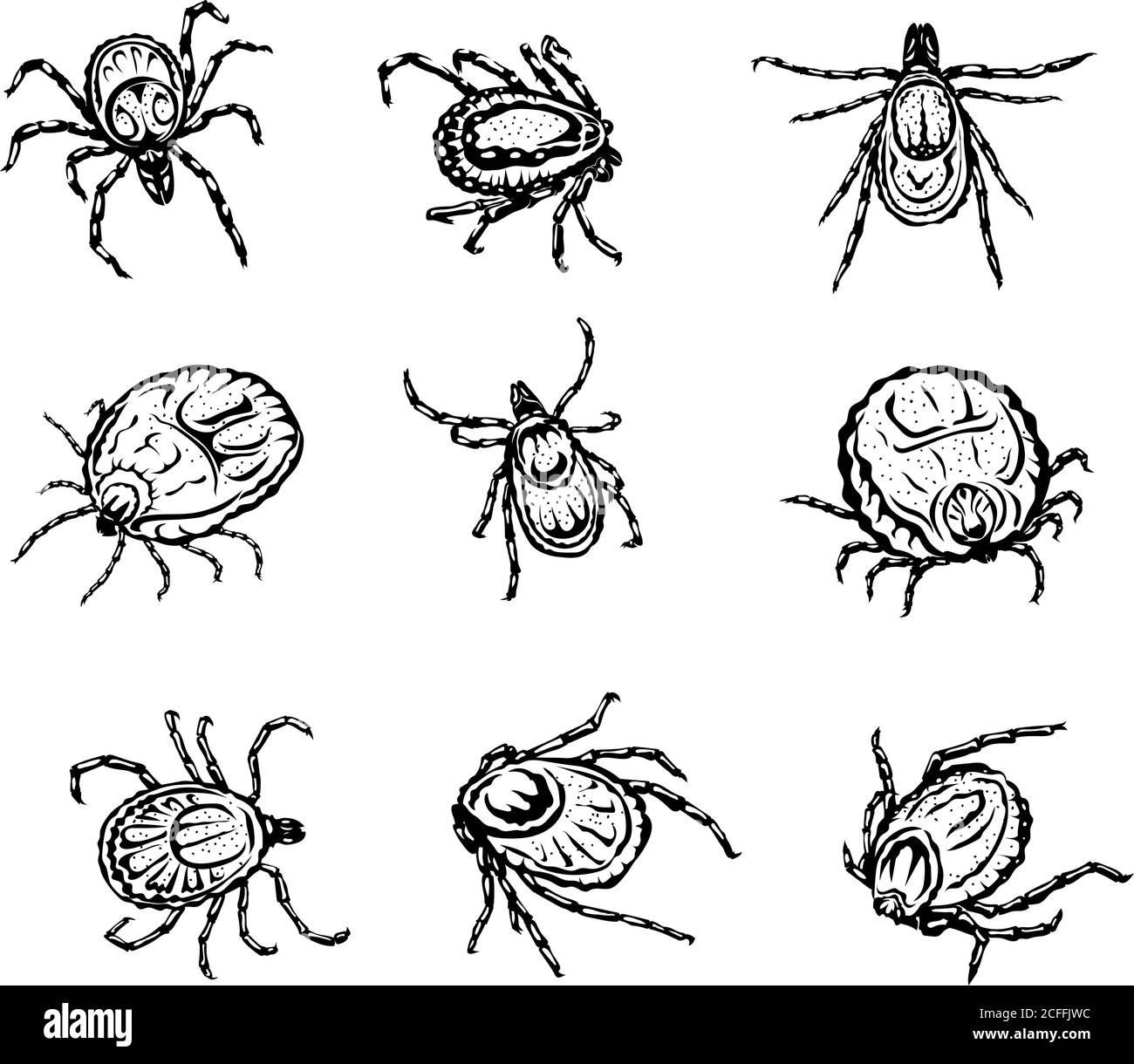 Insekt, Parasit, Vektor, Schädling, Zeichnung, Design, Bild, isoliert, Illustration, Fieber, Symbol, schwarz, Milbe, Bildvarianten in verschiedenen Formen, Farbe Stock Vektor