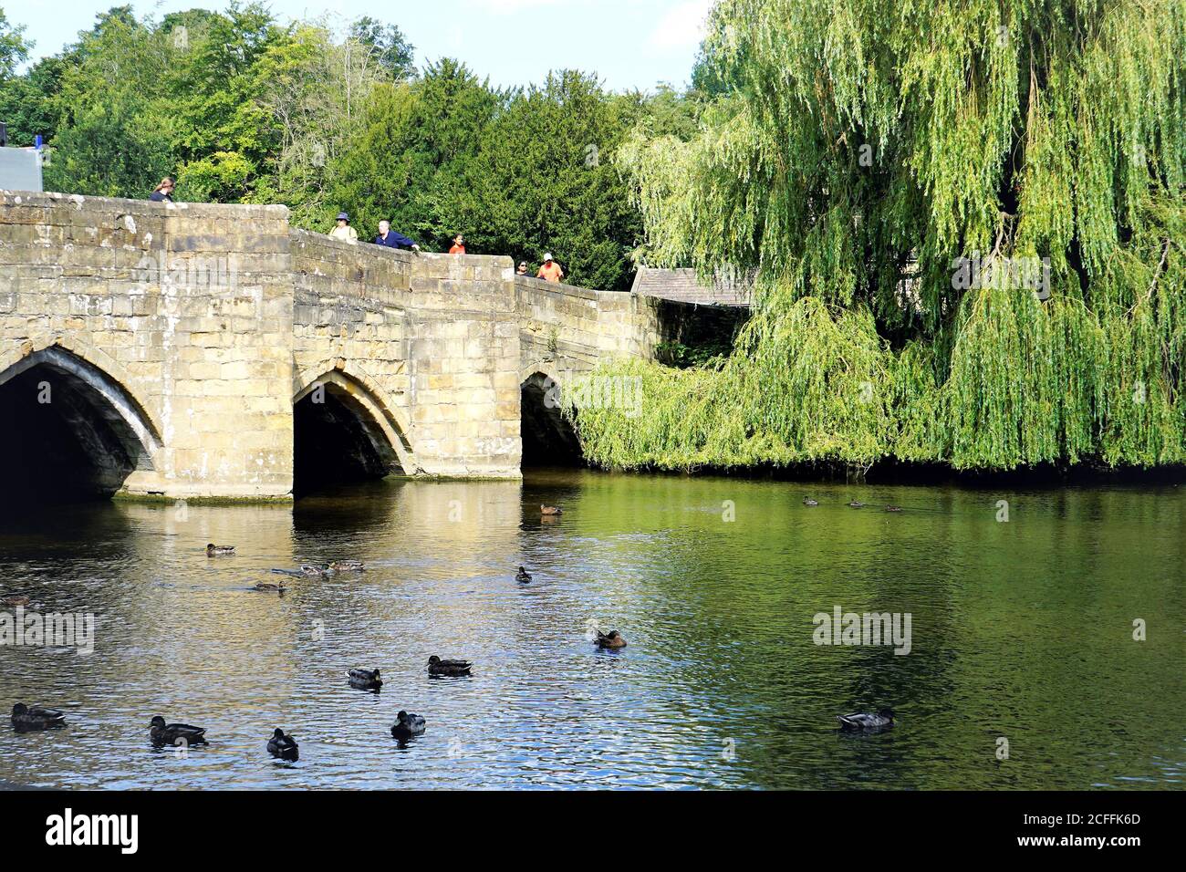 Bakewell, Derbyshire, Großbritannien. 24. August 2020. Touristen zu Fuß über die Brücke aus dem 13. Jahrhundert über den Fluss Wye in Bakewell in Derbyshire, Großbritannien. Stockfoto