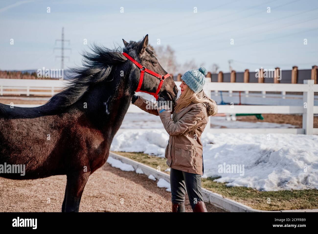 Seitenansicht von luxuriösen Mähne Pferd in verschneiten Hof und Frau in warmen Hut und Jacke in hellen kalten Tag Stockfoto