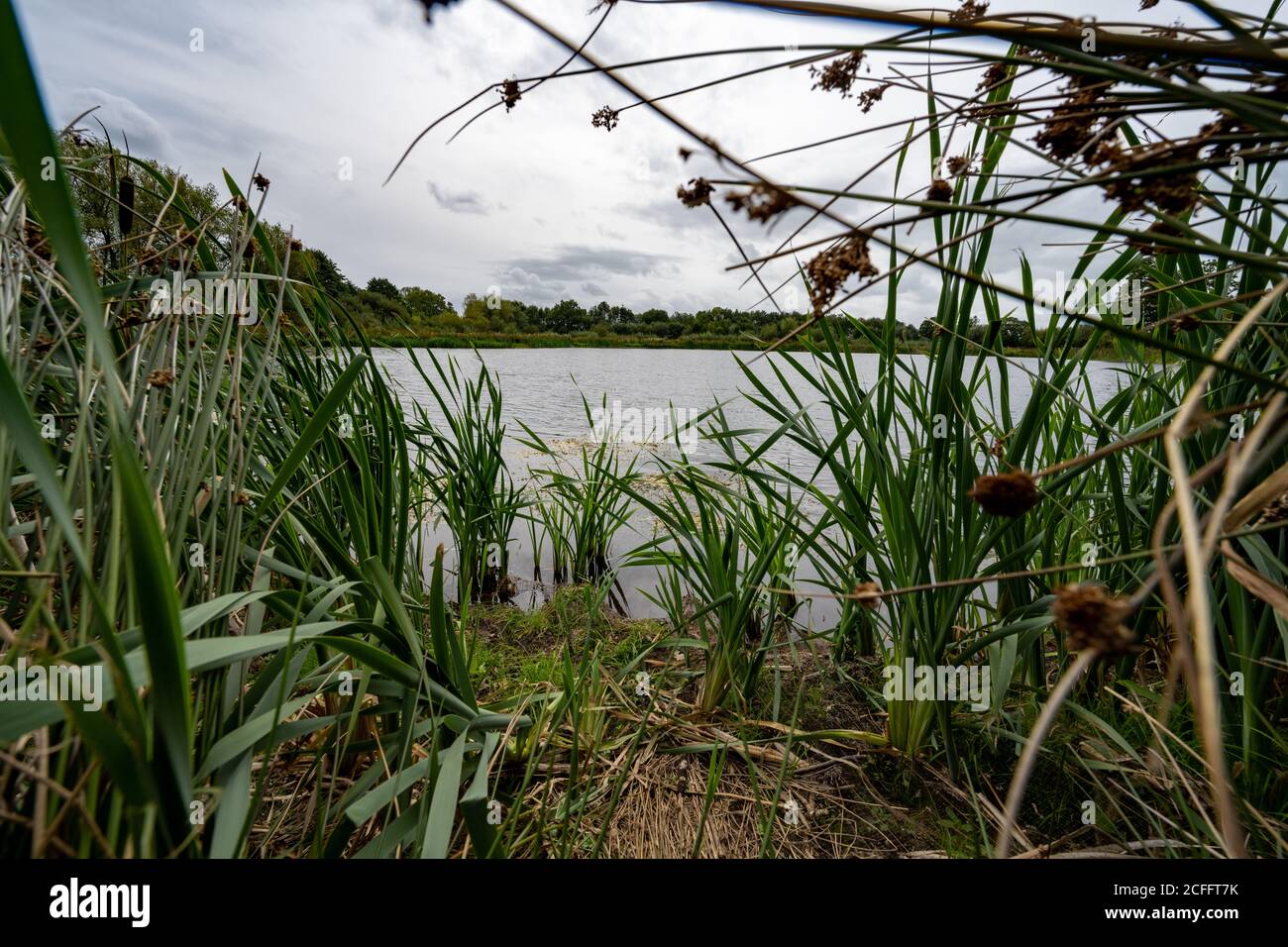 Aston Schleusen Naturschutzgebiet neben dem Montgomery Kanal in Shropshire Großbritannien Stockfoto