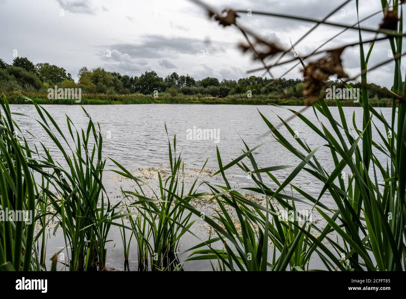 Aston Schleusen Naturschutzgebiet neben dem Montgomery Kanal in Shropshire Großbritannien Stockfoto