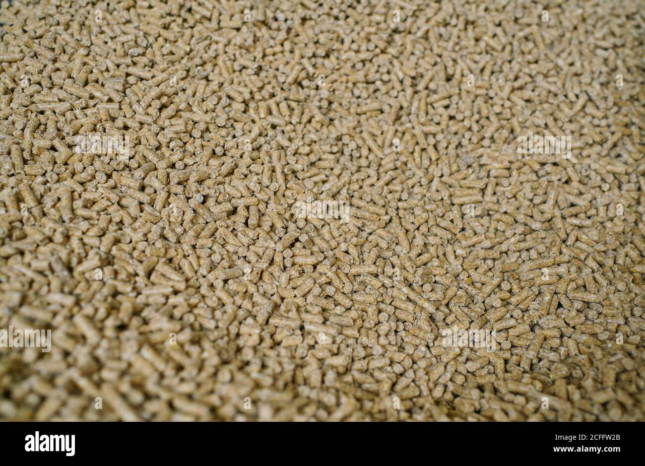 Nahaufnahme des Haufens von trockenem Frischfutter für Kühe gelagert In Lagerhallen in modernen Bauernhof in der Landschaft Stockfoto