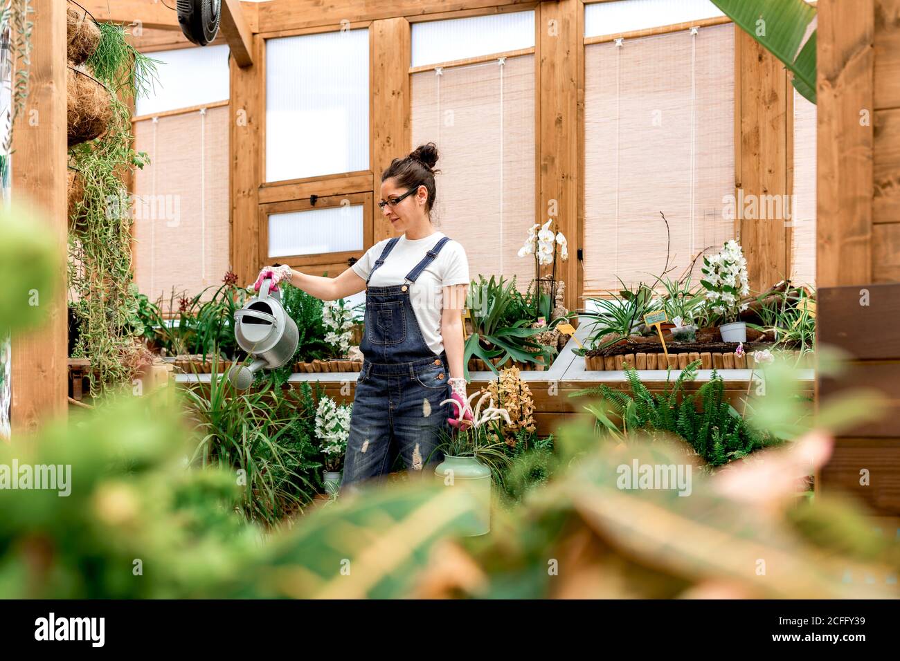 Von unten junge Gärtnerin lächelnd und wässernd blühende Blumen Und Pflanzen während der Arbeit in der hölzernen Orangerie Stockfoto