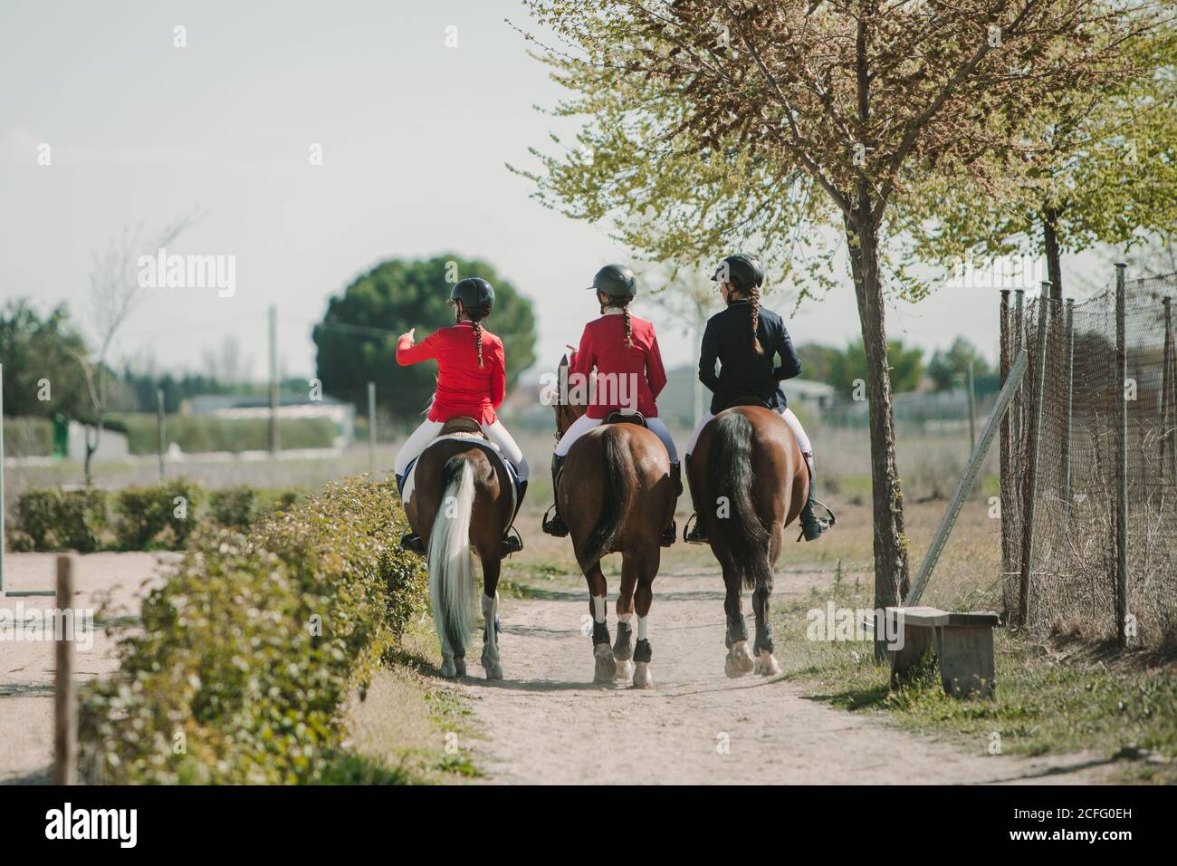 Rückansicht der Reihe anonymer jugendlicher Frauen, die Pferde reiten In Reihe Spaziergang auf der Straße in Sonnenlicht Stockfoto