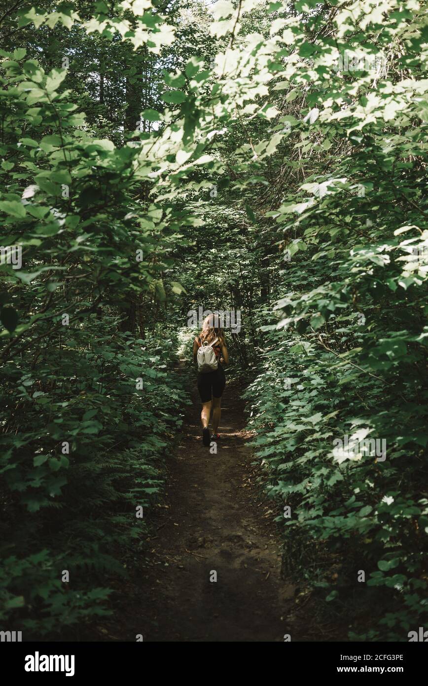 Frau mit Rucksack Wandern im Wald und genießen das Wetter im grünen Wald des La Mauricie National Park in Quebec, Kanada Stockfoto