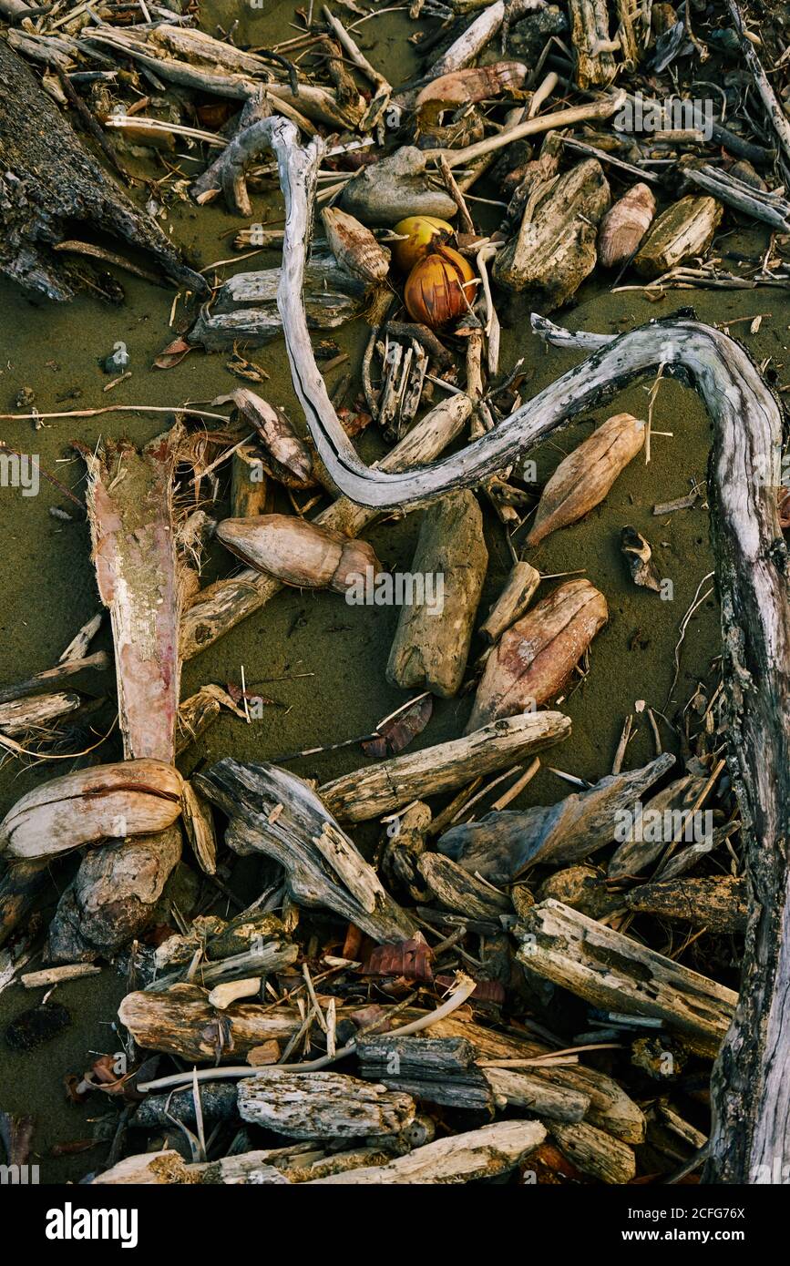 Von oben Holzbaumbäste und vom Meer verdriftete Stücke Am Sandstrand in Costa Rica Stockfoto
