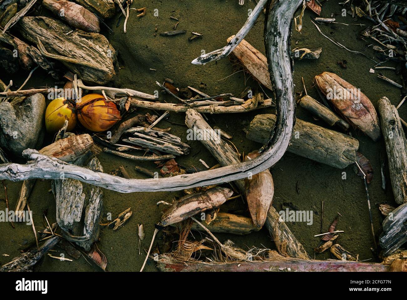 Von oben Holzbaumbäste und vom Meer verdriftete Stücke Am Sandstrand in Costa Rica Stockfoto