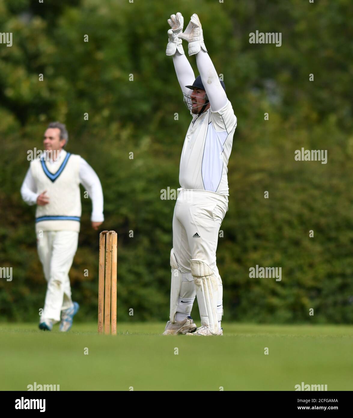 Ein Appell des Wicket Keepers im Derbyshire und Cheshire Cricket League Spiel zwischen Dinting und Whaley Bridge. Stockfoto